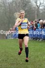 Senior womens Inter Counties Cross Country, Prestwold Hall, Loughborough. Photo: David T. Hewitson/Sports for All Pics